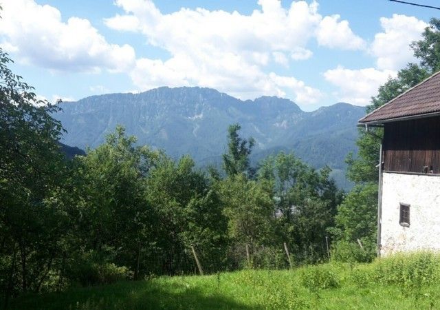 Reitergut Weissenhof