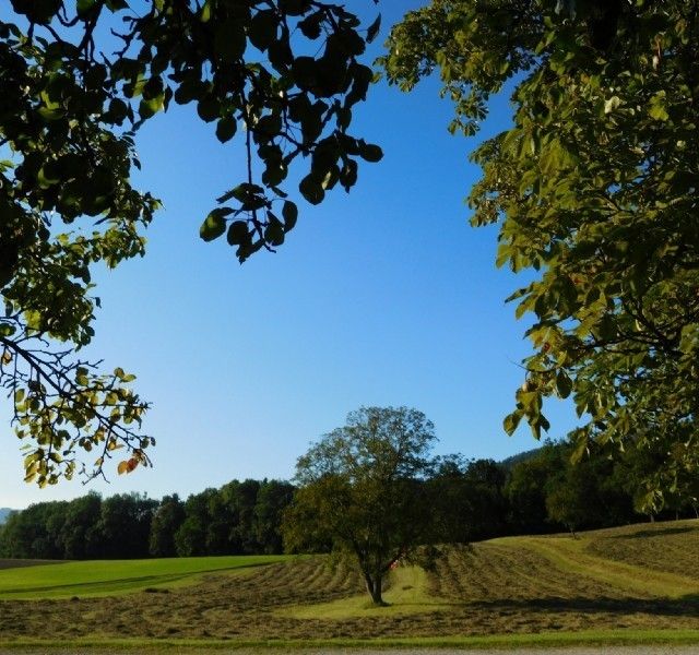 Reitergut Weissenhof